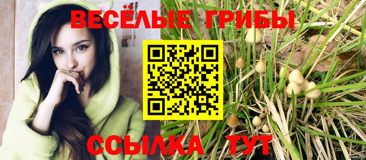 Псилоцибиновые грибы ЛСД  Вход с VPN  купить закладку  Амурск 